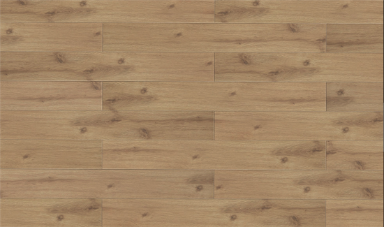 圖片3.png 圖片3.png